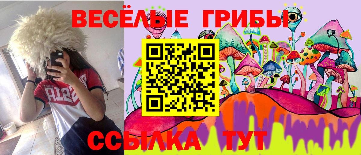 Галлюциногенные грибы Psilocybine cubensis Дубна