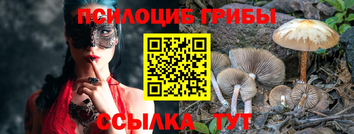 Псилоцибиновые грибы мухоморы  Вход с VPN  Дубна  Псилоцибиновые грибы ЛСД 
